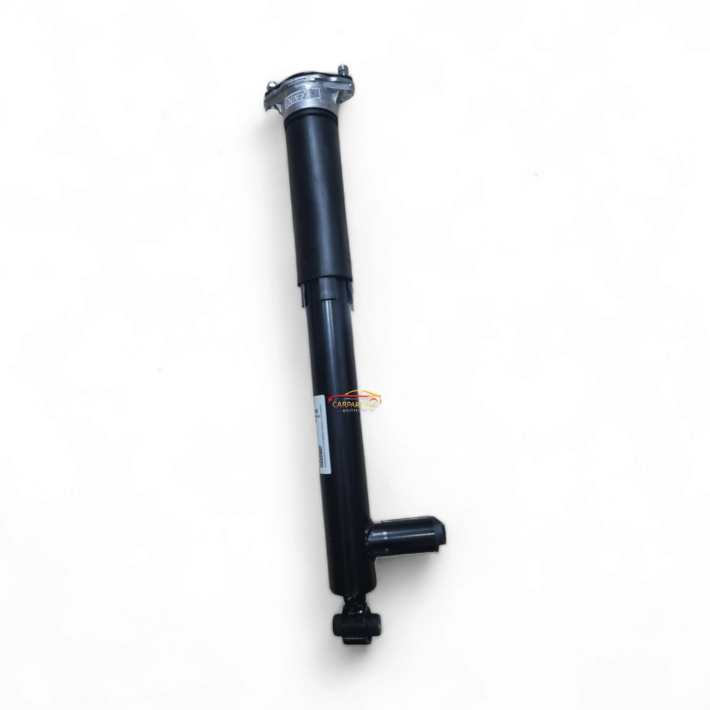 Back Shock Absorber E63 AMG CLS63 AMG W212 W218